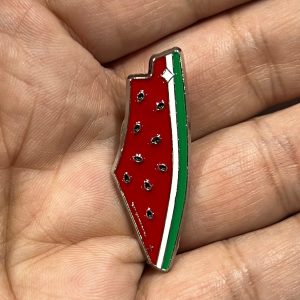 Palestine Watermelon Map Brooch